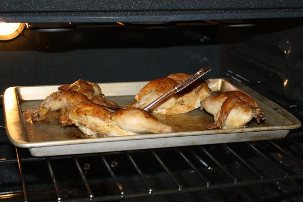 Cornish Game Hens on Oven Rack with Meat Thermometer - Free High Resolution Photo