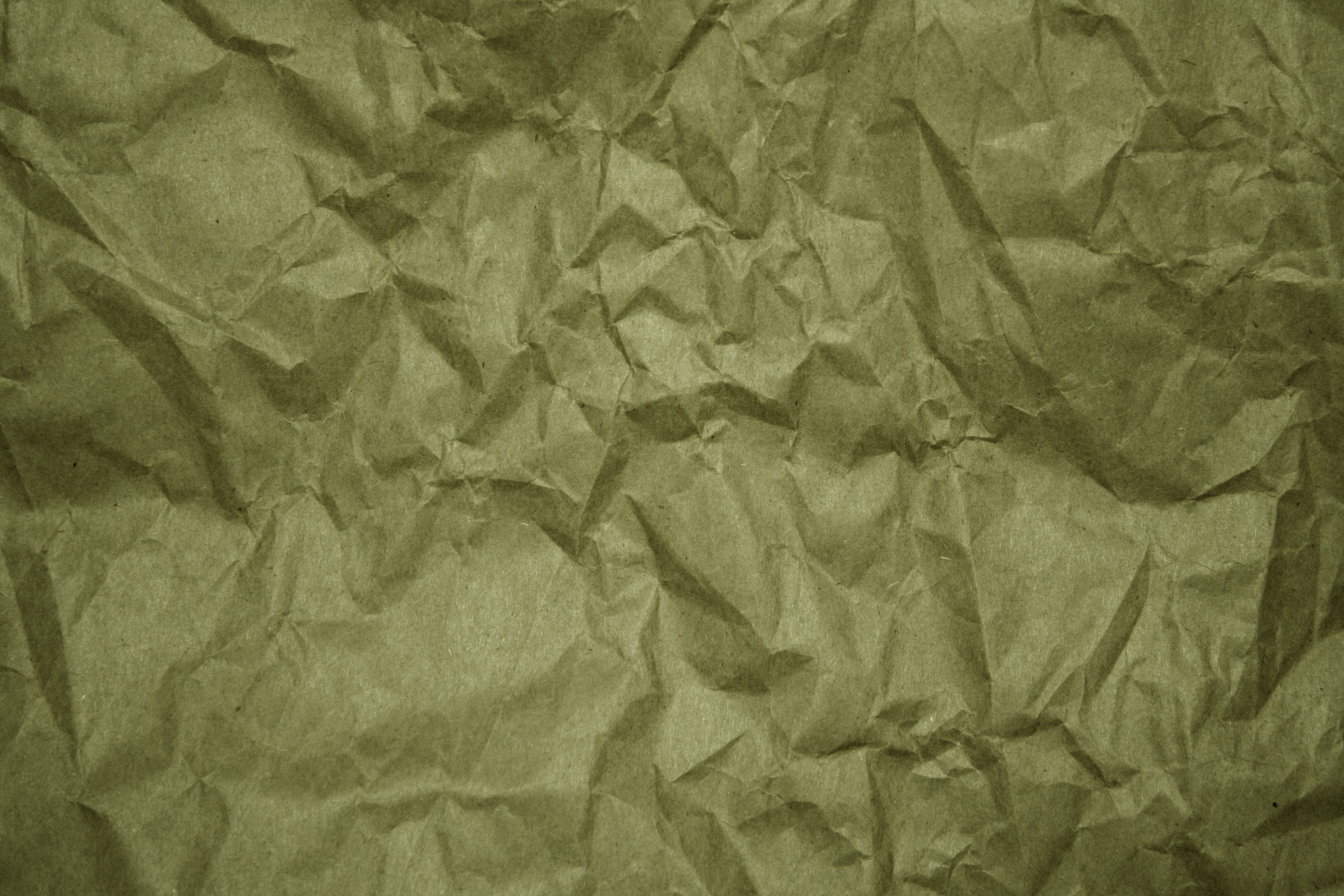 Crumpled Olive Green Paper Texture Picture | Free Photograph | Photos  Public Domain
