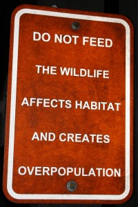 Do Not Feed the Wildlife Sign - Free High Resolution Photo