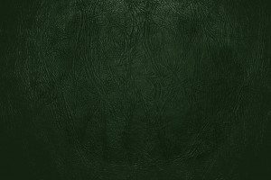 Forest Green Leather Close Up Texture - Free High Resolution Photo