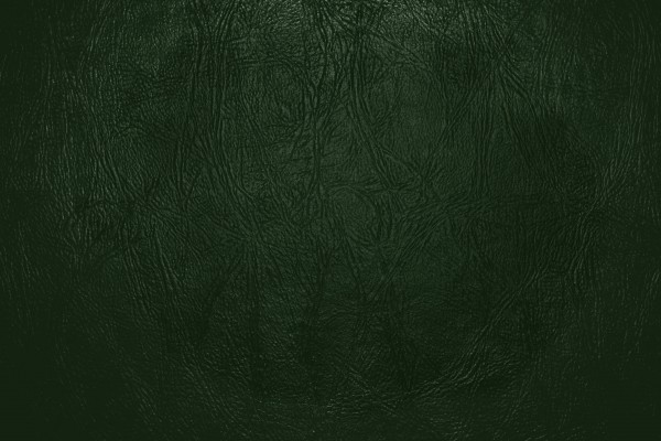 Forest Green Leather Close Up Texture - Free High Resolution Photo