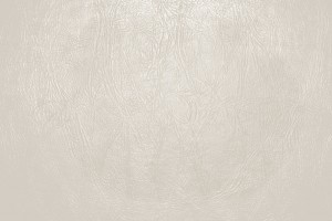 Ivory Colored Leather Close Up Texture - Free High Resolution Photo
