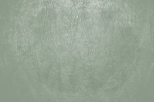 Sage Green Leather Close Up Texture - Free High Resolution Photo