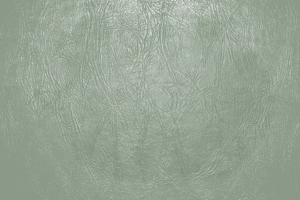 Sage Green Leather Close Up Texture - Free High Resolution Photo