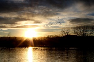 Setting Sun at the Lake - Free High Resolution Photo