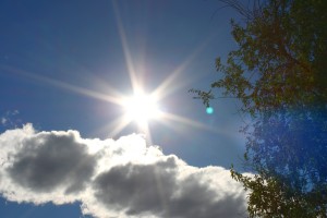 Sun in Blue Sky with Cloud and Tree - Free High Resolution Photo
