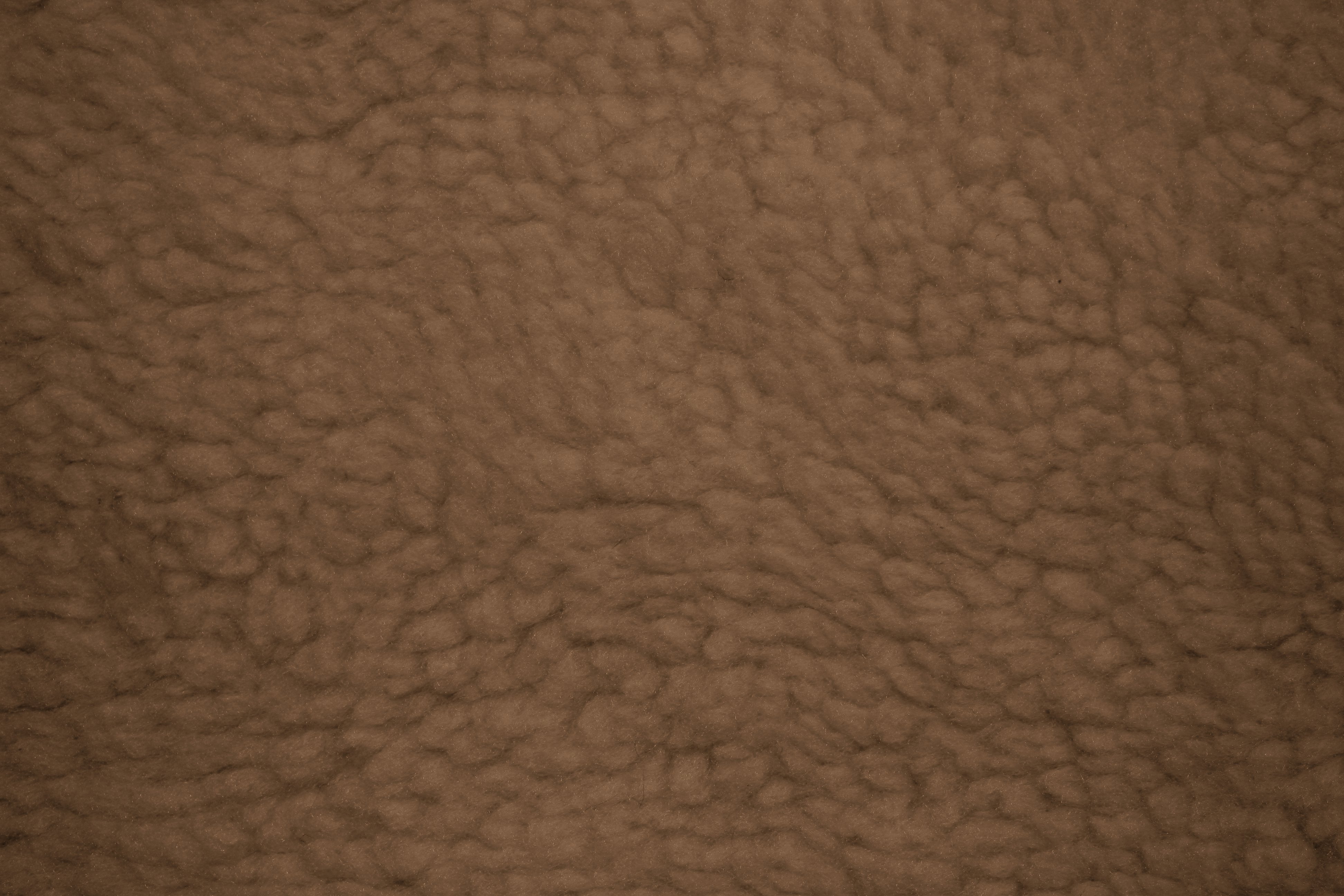 Brown sherpa textured plush fabric material background Stock Photo