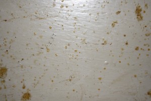 Grease Splatter Grunge Texture - Free High Resolution Photo