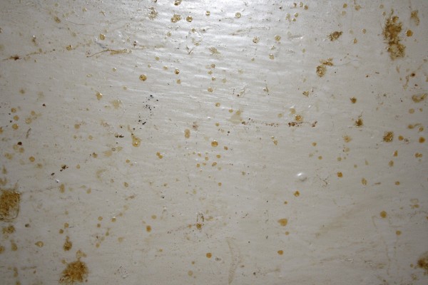 Grease Splatter Grunge Texture - Free High Resolution Photo