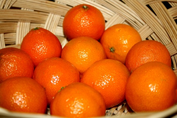 Tangerines - Free high resolution photo