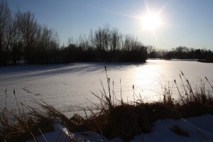 Bright Sun over Frozen Pond - Free High Resolution Photo