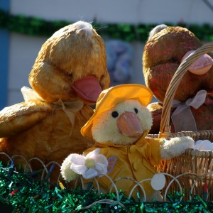 Easter Decorations - Chick in Raincoat - Free High Resolution Photo