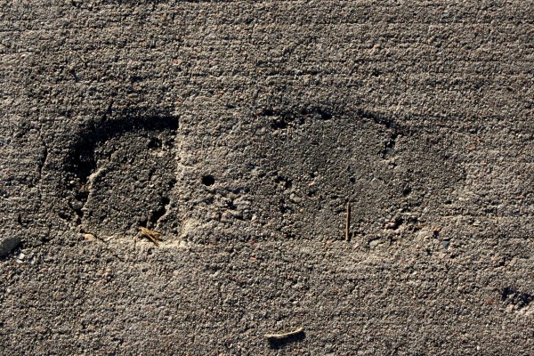Footprint in Cement - Free High Resolution Photo