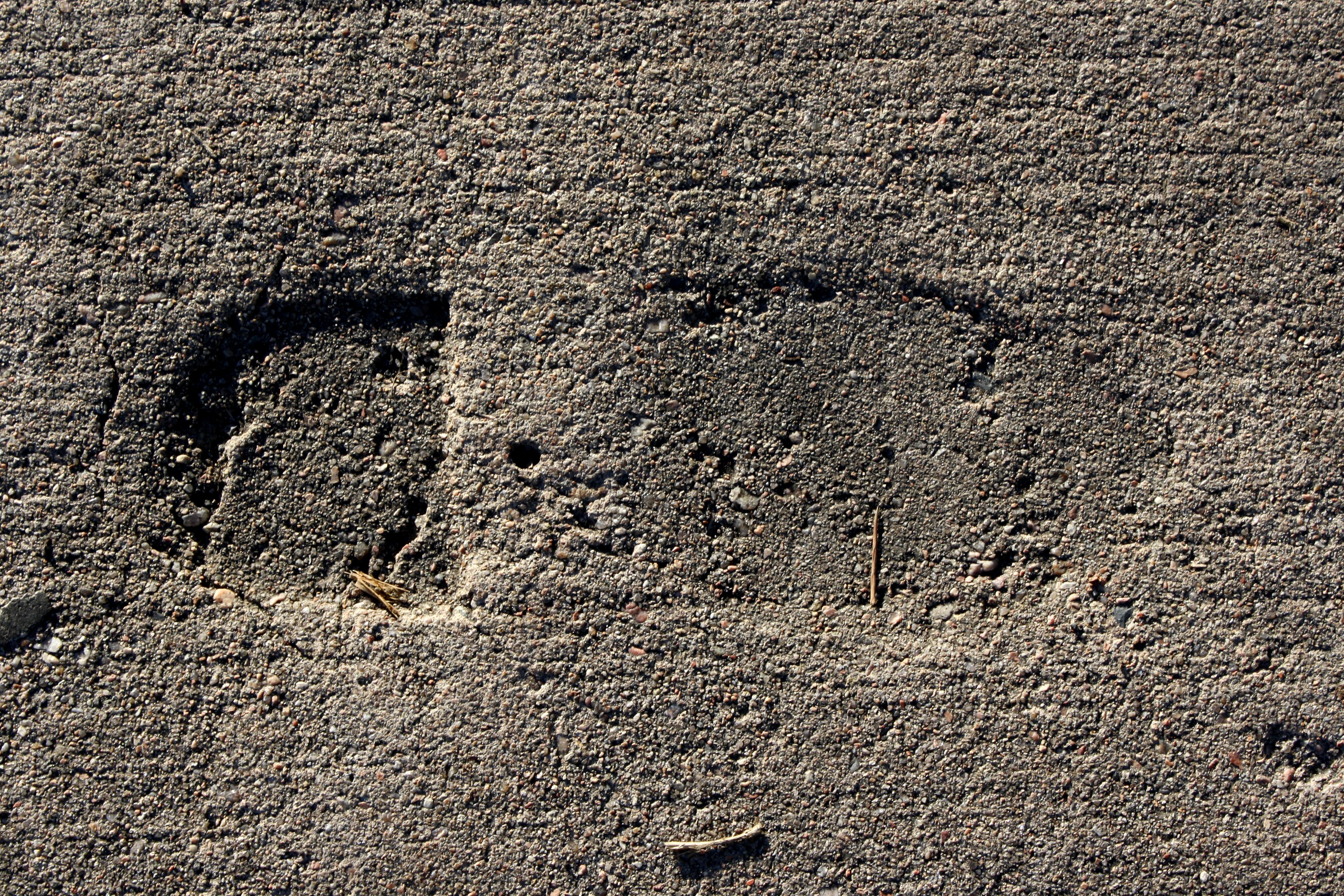 Footprint in Cement Picture | Free Photograph | Photos Public Domain