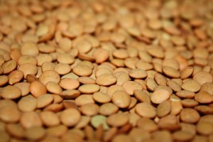 Lentils - Free High Resolution Photo