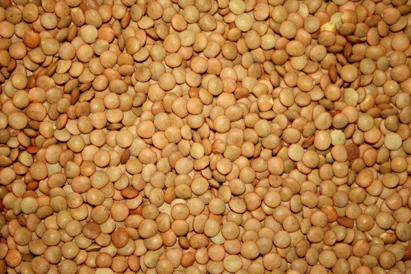 Lentils Texture - Free High Resolution Photo