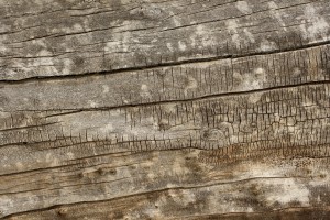 Old Weathered Wood Texture - Free High Resolution Photo