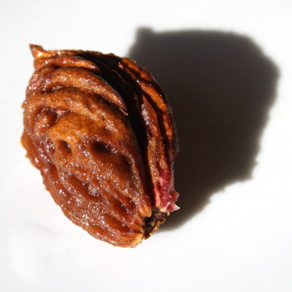 Peach Pit - Free High Resolution Photo