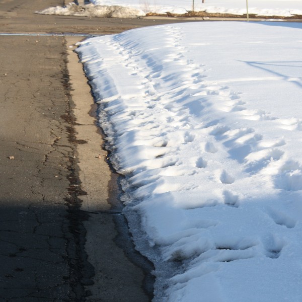 Sidewalk Not Shoveled - Free High Resolution Photo