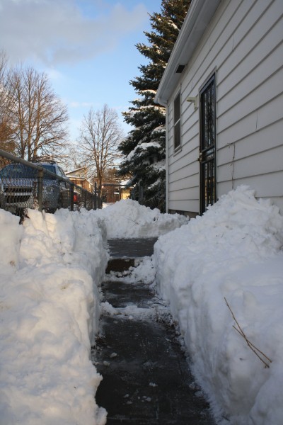 Sidewalk Shoveled through Deep Snow - Free High Resolution Photo