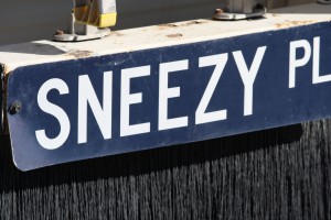 Sneezy Place Funny Street Sign - Free High Resolution Photo