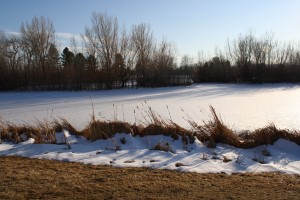 Snow Covering Frozen Lake in Winter - Free High Resolution Photo