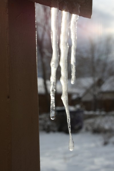 Sun Shining through Icicles - Free High Resolution Photo