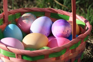 Colored Eggs in Easter Basket - Free High Resolution Photo