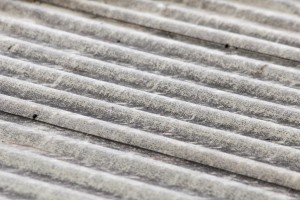 Corrugated Fiberglass Greenhouse Roof Texture - Free High Resolution Photo
