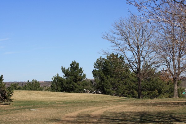 Dirt Road or Trail through Park - Free high resolution photo