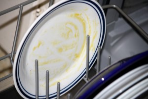 Dirty Plate Scraped but not Rinsed - Free High Resolution Photo