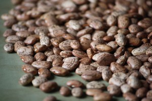 Pinto Beans - Free High Resolution Photo