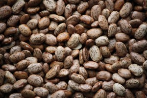 Pinto Beans Texture - Free High resolution photo