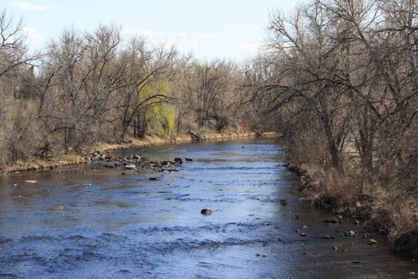 River in Early Spring - Free High Resolution Photo