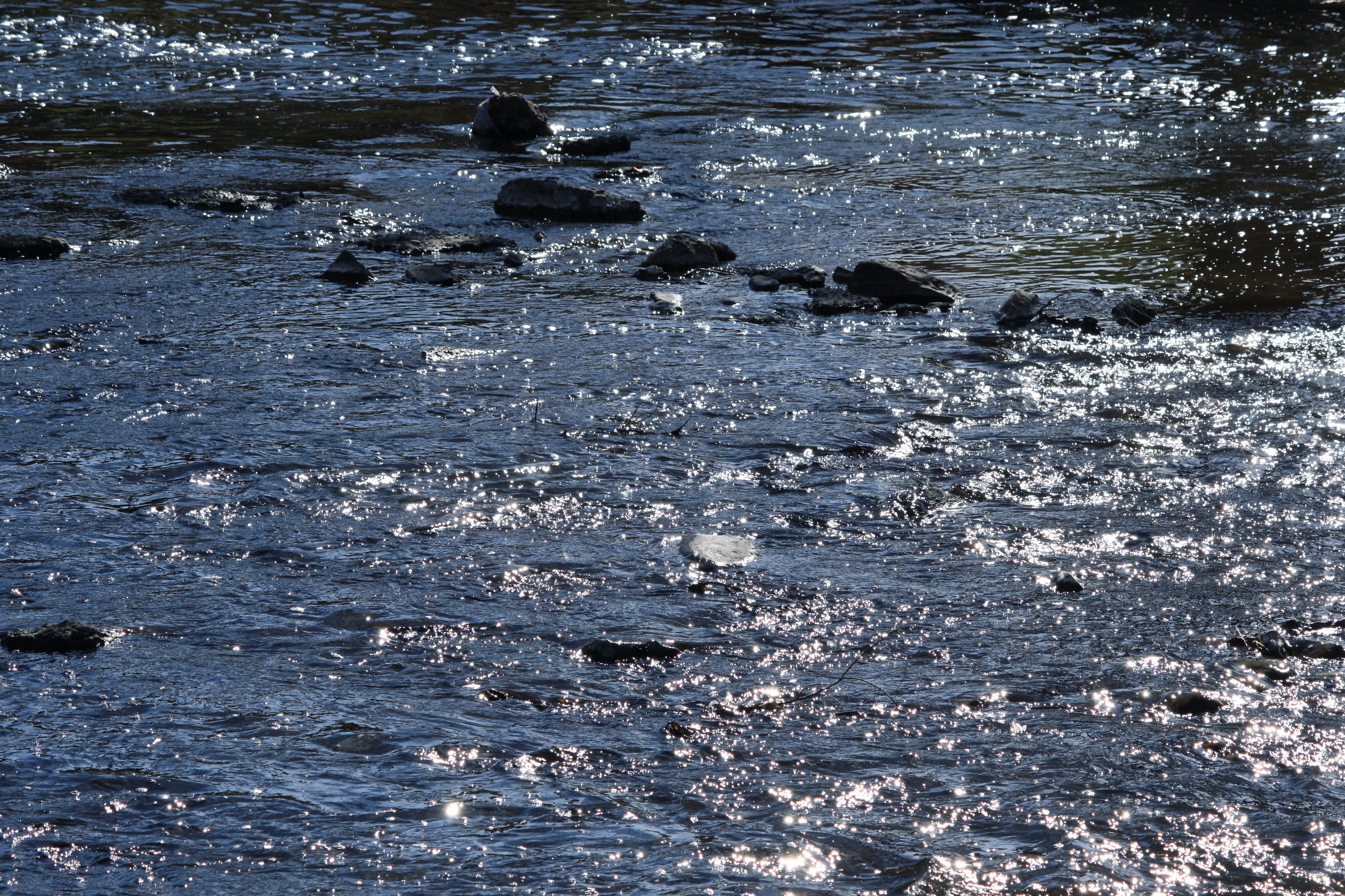 Вода из реки речная вода. Вода река. Река Вад. Поверхностные воды. Вода из реки.