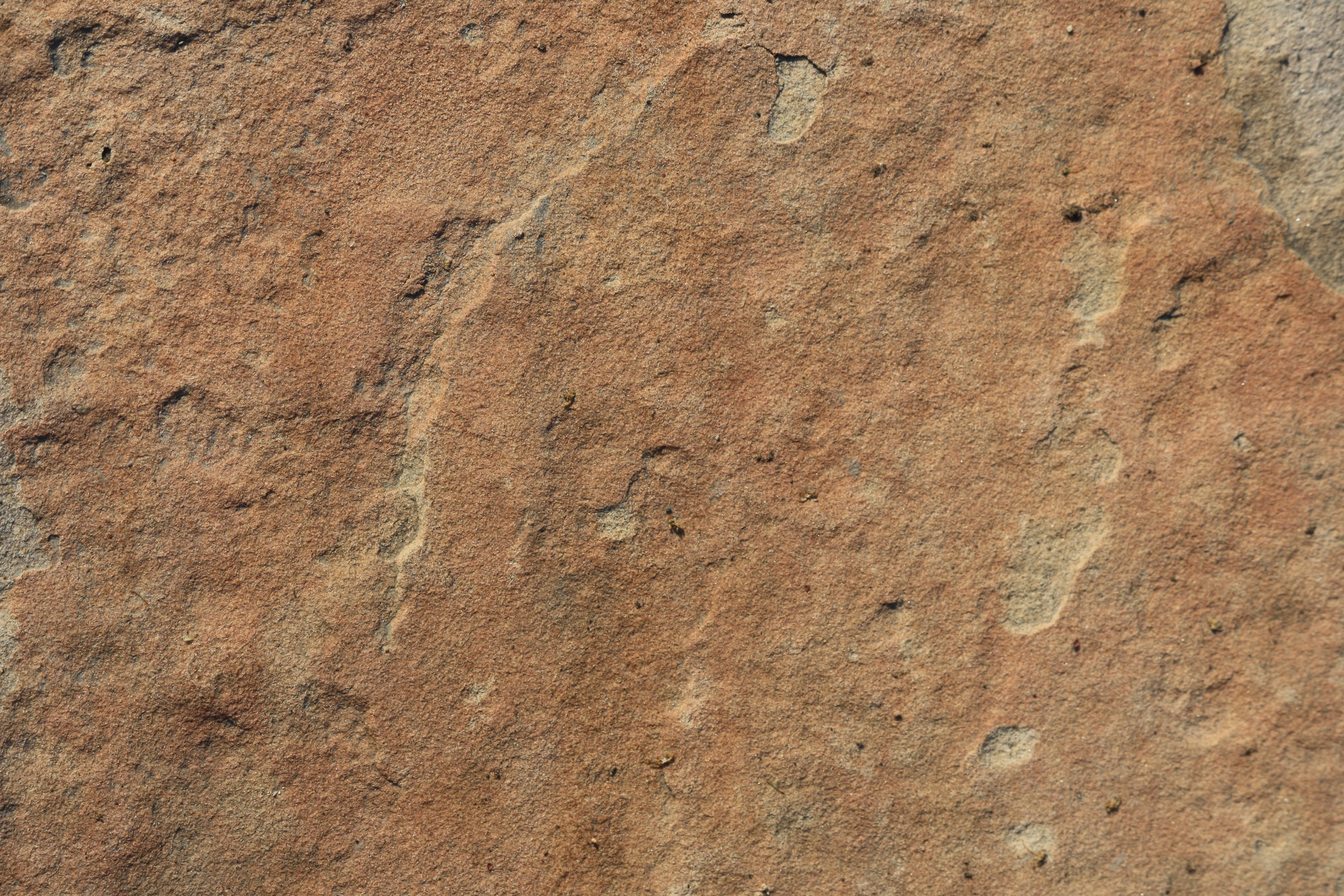 Sandstone Rock  Texture  Picture Free Photograph Photos 