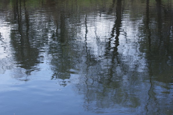 Water Reflecting Spring Trees - Free High Resolution Photo