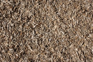 Wood Chips Texture - Free high resolution photo