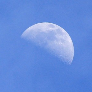 Daytime Moon - Free photo