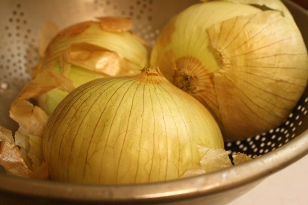 Onions - Free High Resolution Photo
