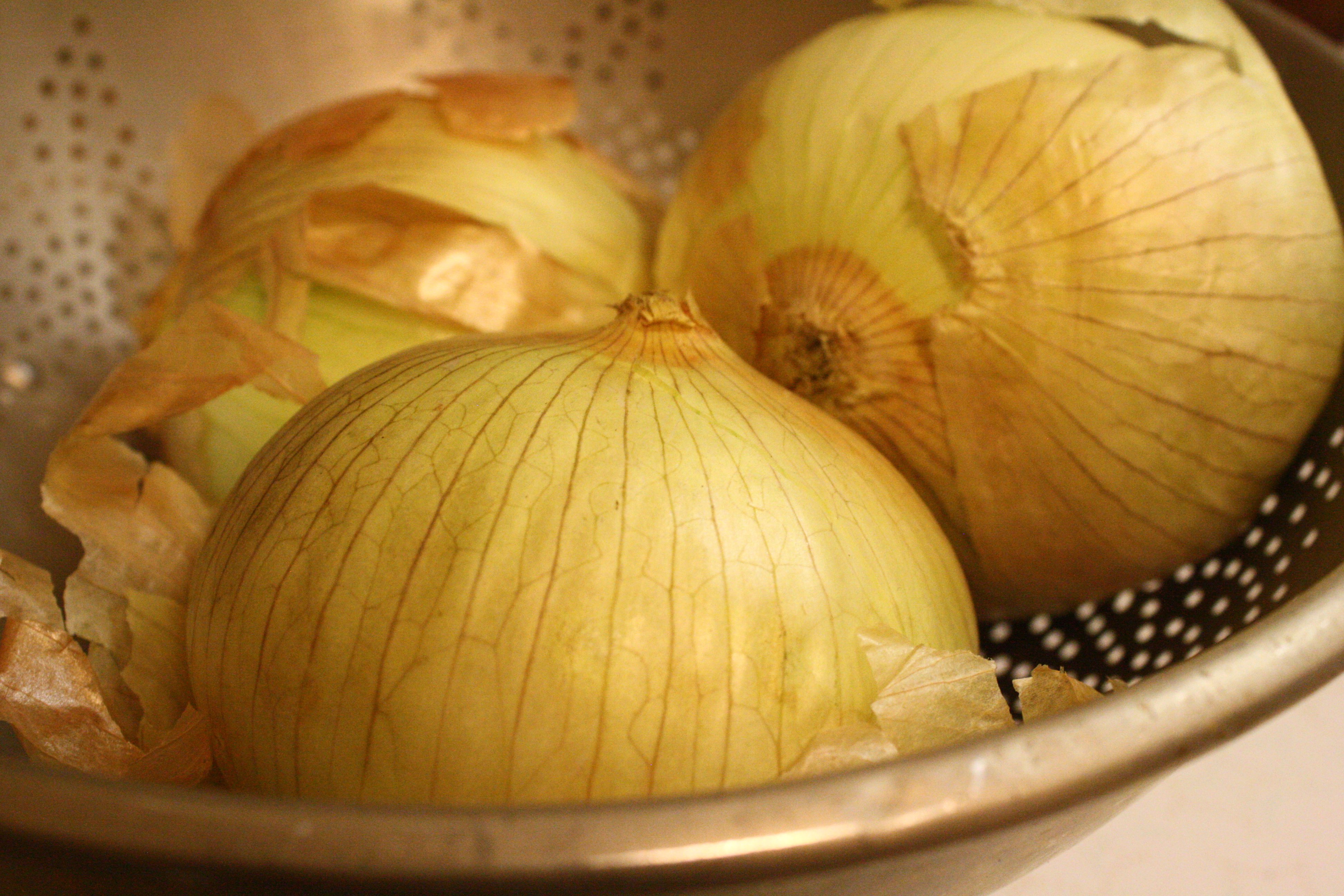 Onions - Free High Resolution Photo