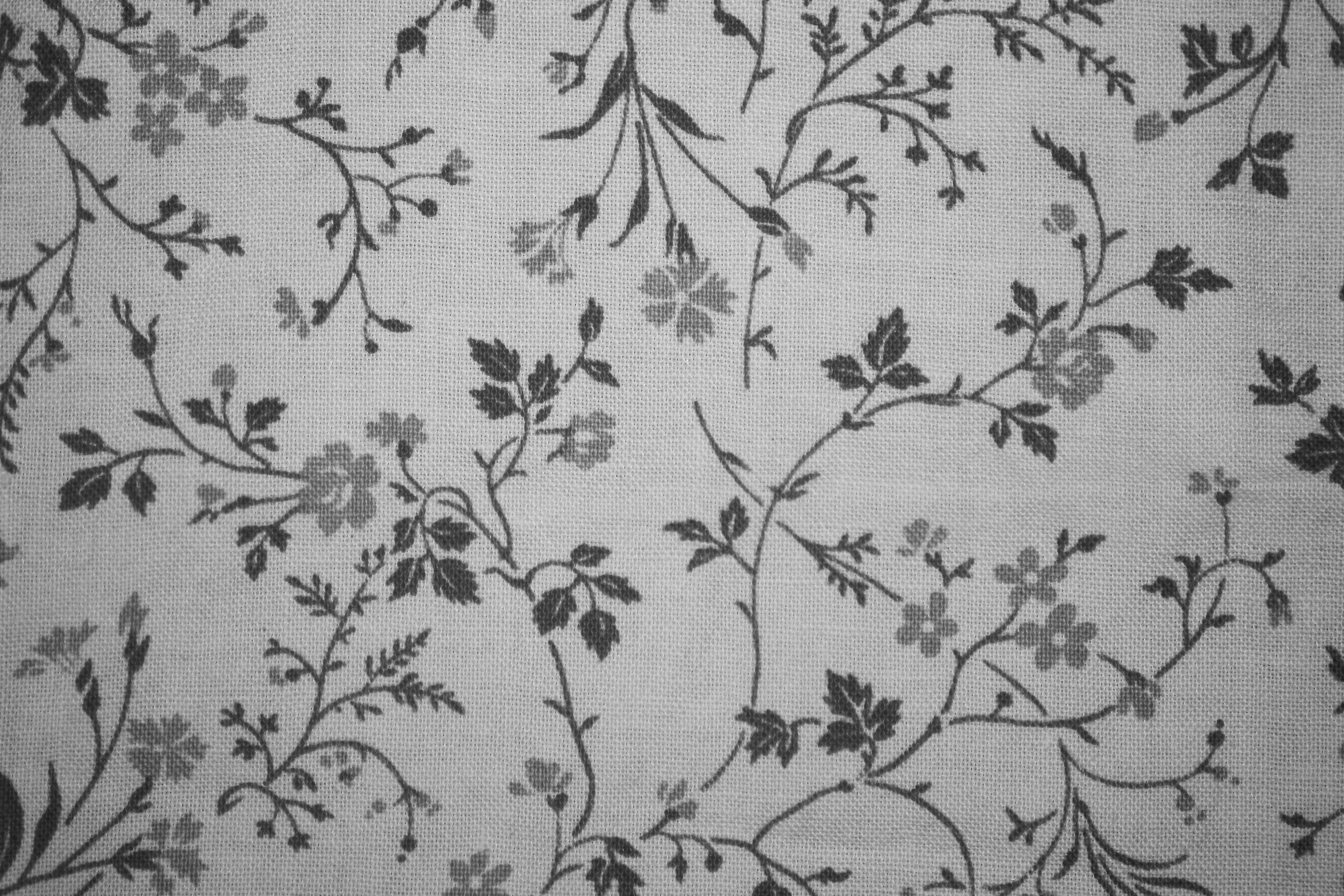 Gray on White Floral Print Fabric Texture Picture, Free Photograph