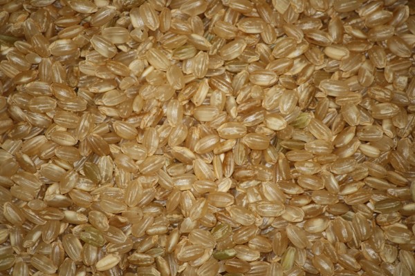 Short Grain Brown Rice Texture - Free High Resolution Photo