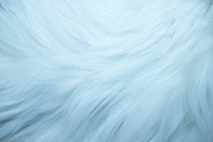 Baby Blue Fur Texture - Free High Resolution Photo