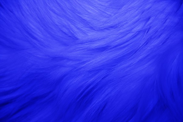 Blue Fur Texture - Free High Resolution Photo
