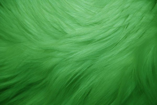 Green Fur Texture - Free High Resolution Photo