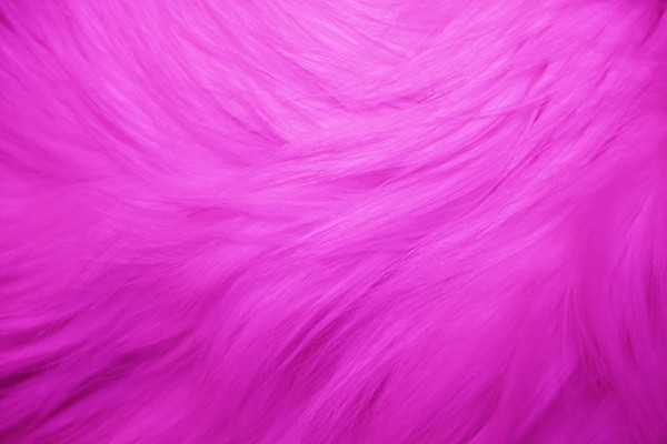 Hot Pink Fur Texture - Free High Resolution Photo