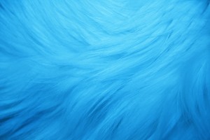 Light Blue Fur Texture - Free High Resolution Photo