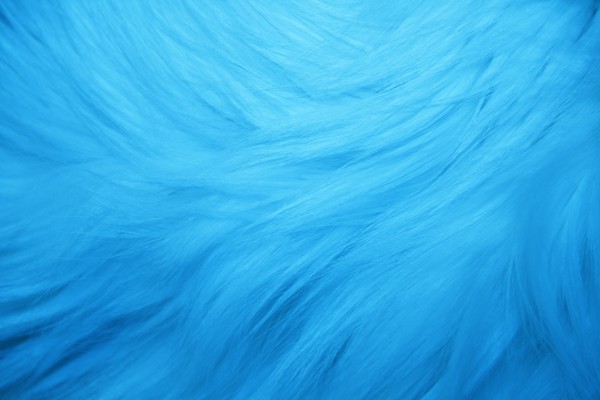 Light Blue Fur Texture - Free High Resolution Photo