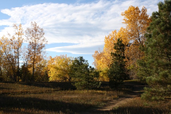 Path through Fall Meadow - Free High Resolution Photo